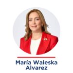 Consejo consultivo-33